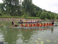 Dragon boat race at the Ginsheim Old Rhine Festival
